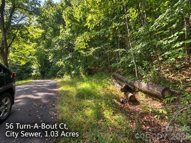 250 & 300 Turn-A-Bout Court, Waynesville, NC 28785