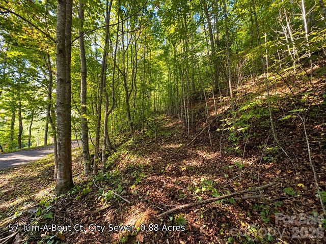 250 & 300 Turn-A-Bout Court, Waynesville, NC 28785