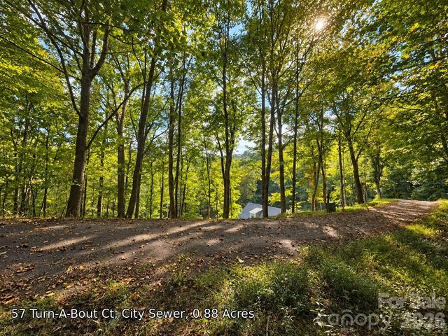 250 & 300 Turn-A-Bout Court, Waynesville, NC 28785