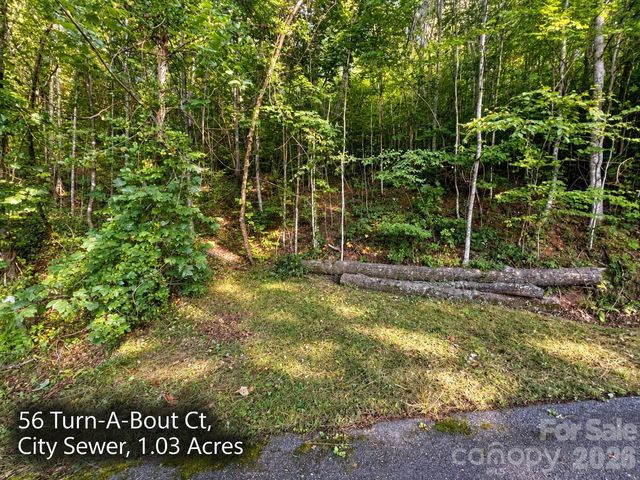 250 & 300 Turn-A-Bout Court, Waynesville, NC 28785