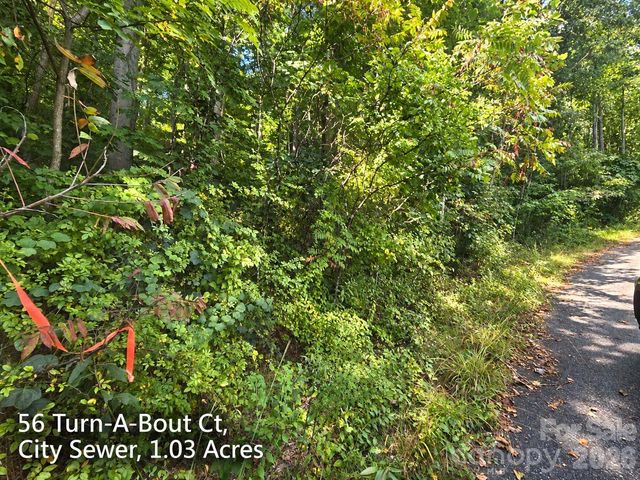 250 & 300 Turn-A-Bout Court, Waynesville, NC 28785