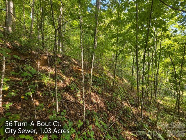 250 & 300 Turn-A-Bout Court, Waynesville, NC 28785
