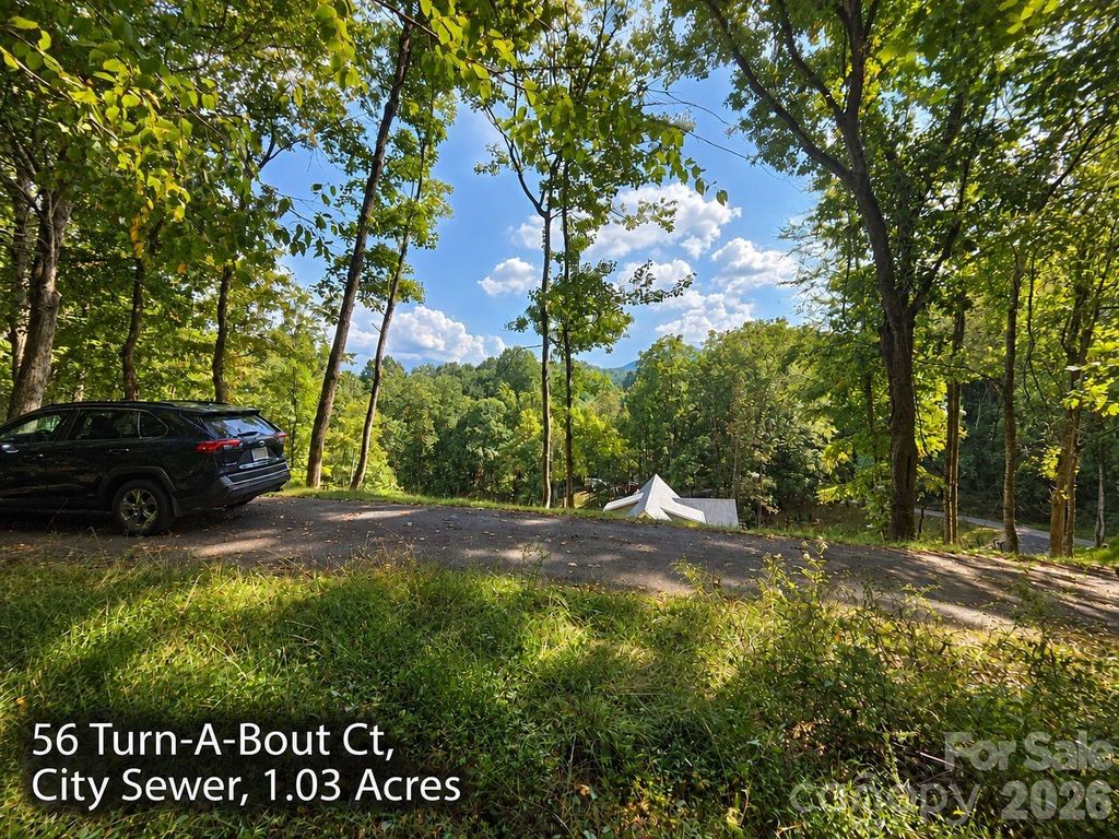 250 & 300 Turn-A-Bout Court, Waynesville, NC 28785
