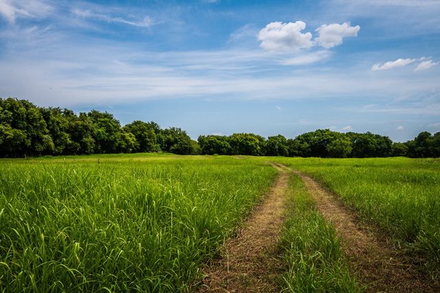 000 Pigg Road, Waxahachie, TX 75165