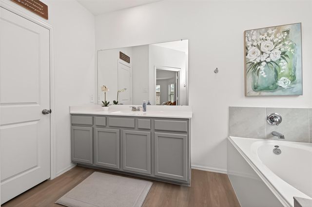 17018 Lily Burton Lane, Hockley, TX 77447