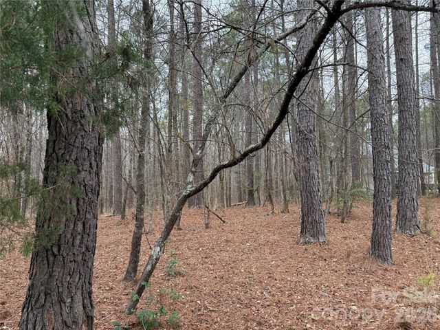 6191 Chimney Bluff Road, Lancaster, SC 29720