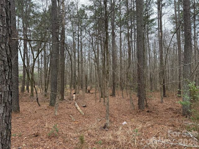 6191 Chimney Bluff Road, Lancaster, SC 29720