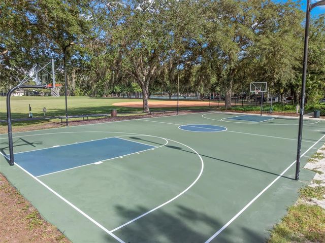 17716 OAK BRIDGE STREET, Tampa, FL 33647