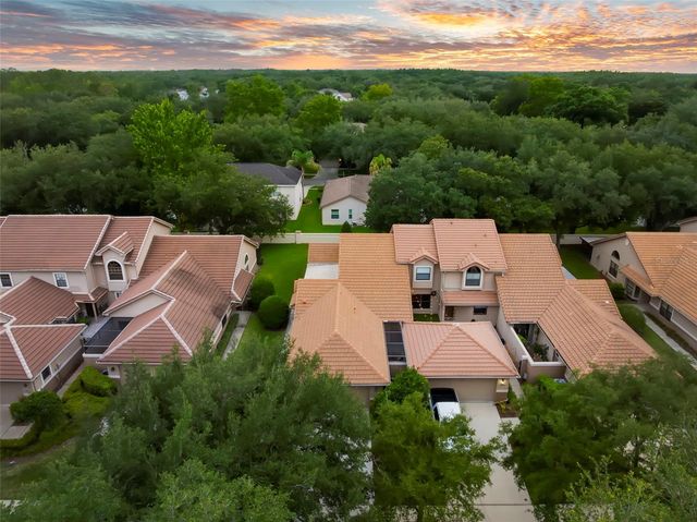 17716 OAK BRIDGE STREET, Tampa, FL 33647