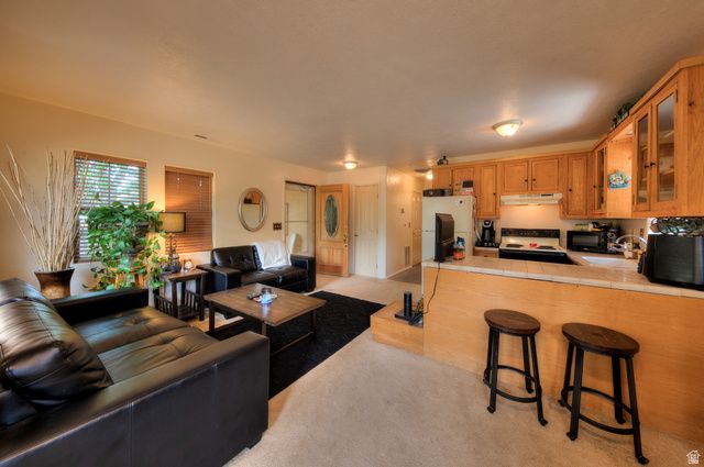 552 NICHOLS LN, Moab, UT 84532