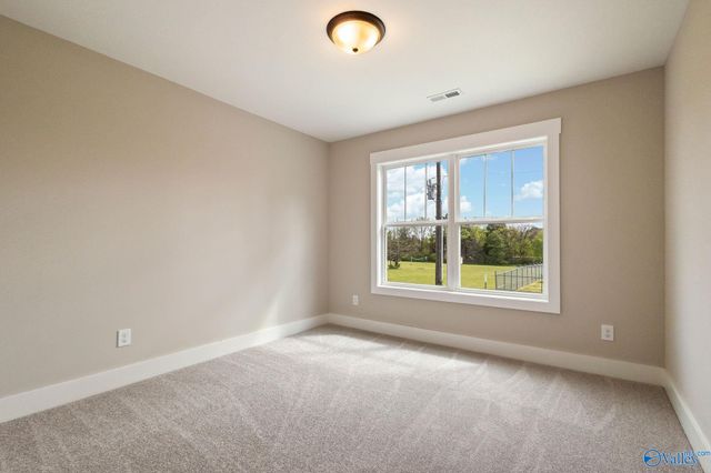 10541 Cedar Acres Lane, Madison, AL 35756