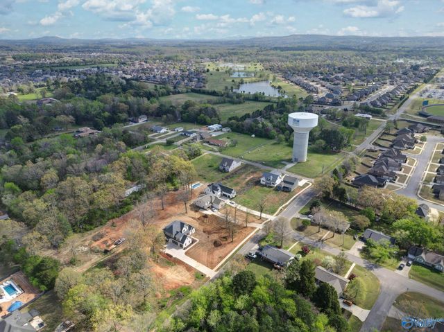 10541 Cedar Acres Lane, Madison, AL 35756