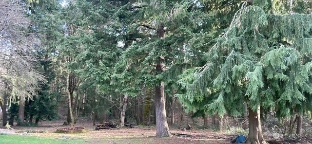 15922 Agate Street SE, Yelm, WA 98597