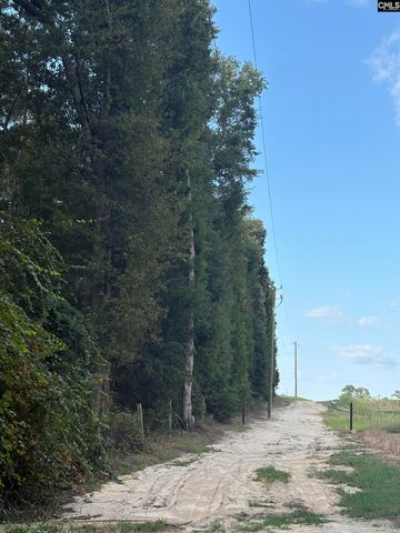 320 Southland Road, Gilbert, SC 29054