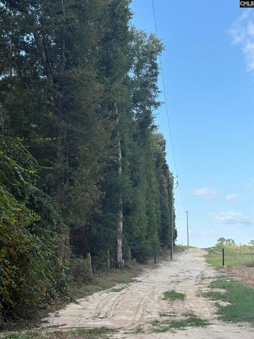 320 Southland Road, Gilbert, SC 29054