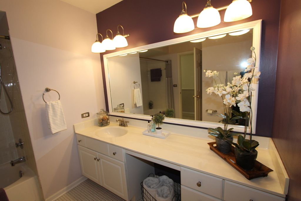 Image 23 of property listing at 206 E Cunningham Drive, Palatine, IL 60067