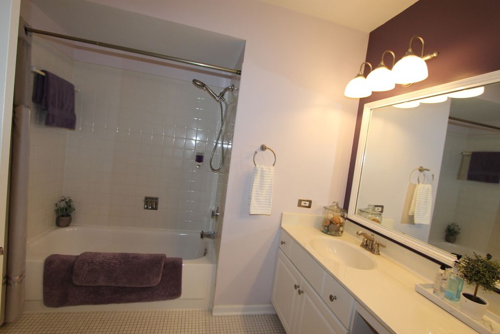 Image 24 of property listing at 206 E Cunningham Drive, Palatine, IL 60067