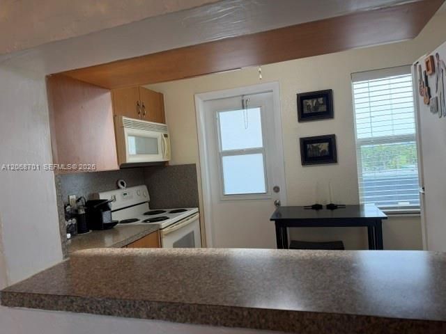 1445 Atlantic Shores Boulevard 605, Hallandale Beach, FL 33009