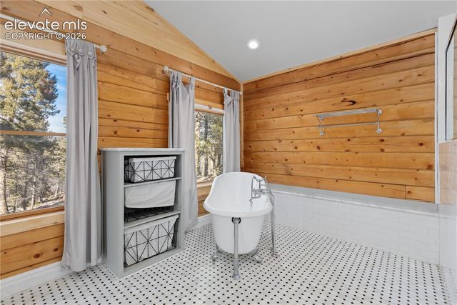 1910 Wildhorn Road, Florissant, CO 80816