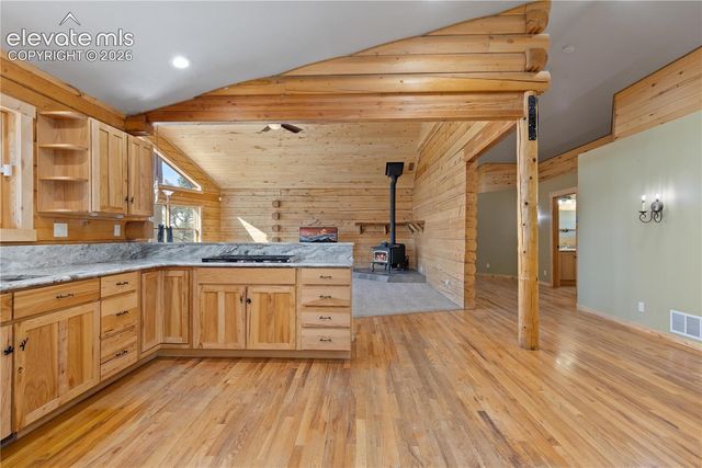 1910 Wildhorn Road, Florissant, CO 80816