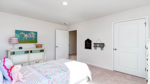 118 Country Grove Way, Galivants Ferry, SC 29544
