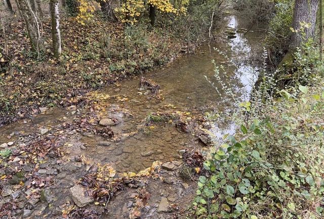 2594 Faulkner Springs Rd, Mcminnville, TN 37110