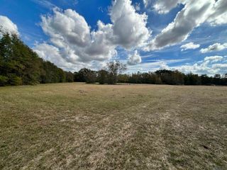 15838 Blackwater Rd, Central, LA 70791