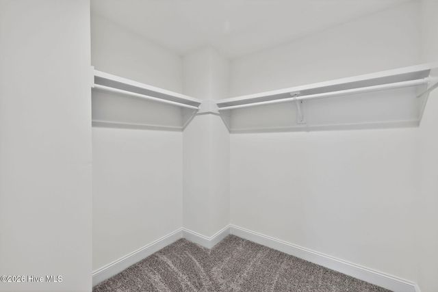 9565 Lily Pond Court NE, Leland, NC 28451