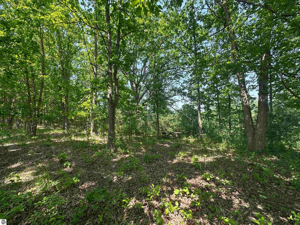 Image 4 of property listing at 1033 Bonanza Lane, Weidman, MI 48893