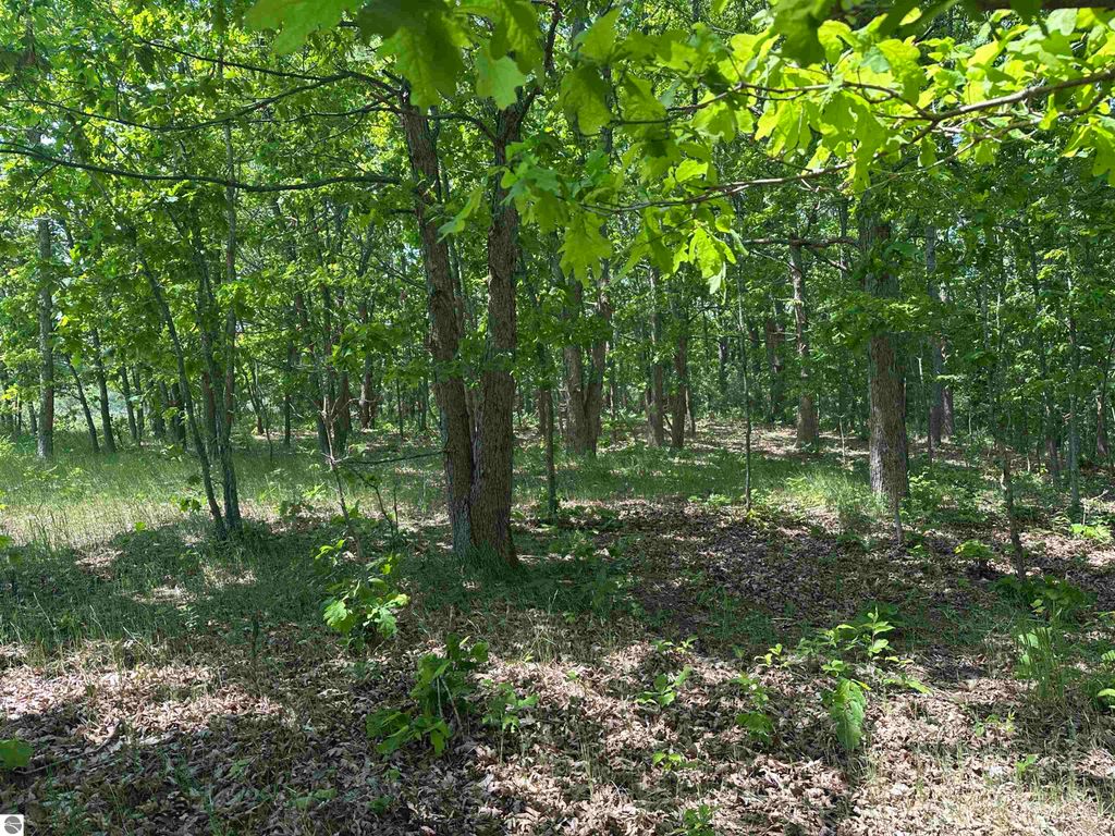 Image 6 of property listing at 1033 Bonanza Lane, Weidman, MI 48893