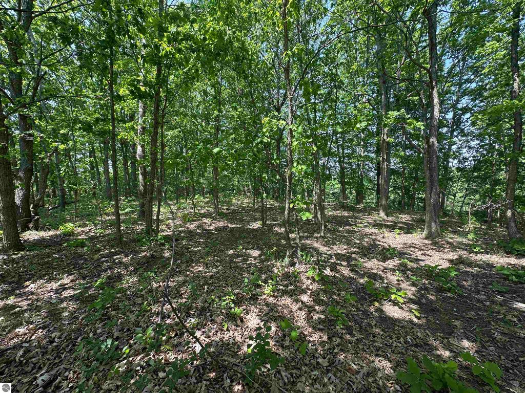 Image 7 of property listing at 1033 Bonanza Lane, Weidman, MI 48893