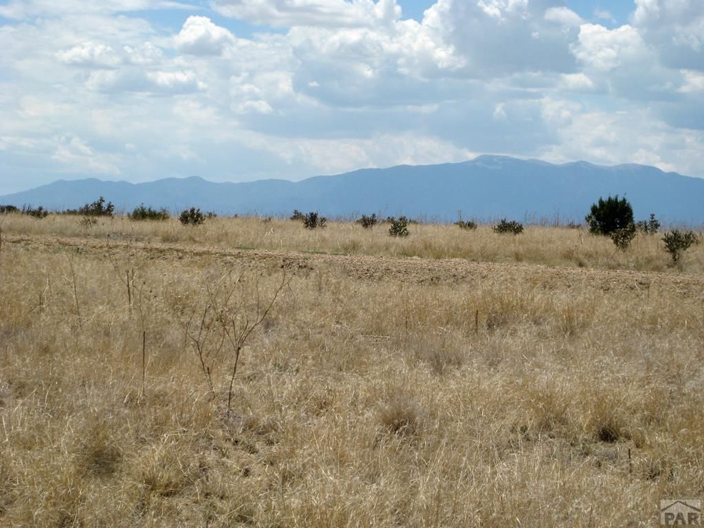 Lot 4 Cedarwood Station, Rye, CO 81069