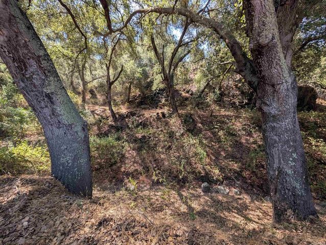 18868 Paradise Mountain Road, Valley Center, CA 92082