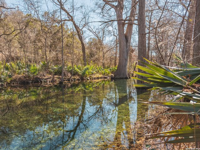 1062 Blue Bonnet Hill, Spring Branch, TX 78070