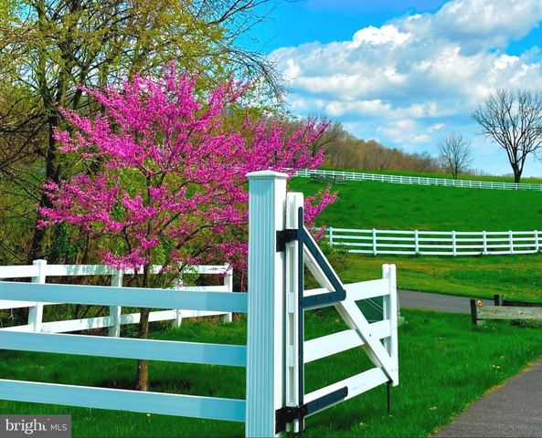 11 DANBERRY DR, Ringoes, NJ 08551