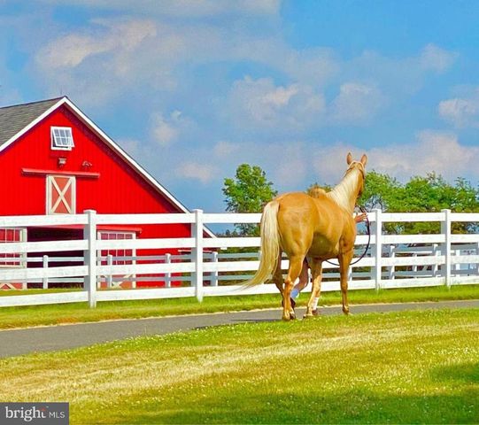 11 DANBERRY DR, Ringoes, NJ 08551