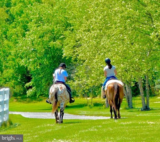 11 DANBERRY DR, Ringoes, NJ 08551