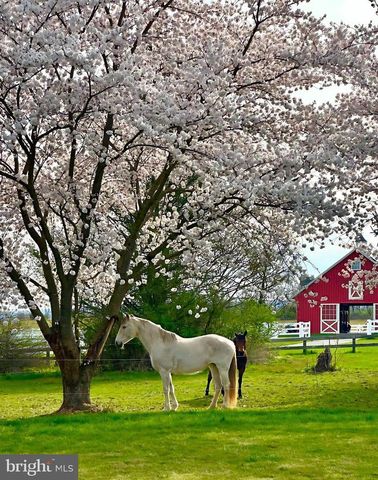 11 DANBERRY DR, Ringoes, NJ 08551