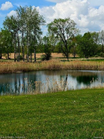 10071 N Hillman Road, Belvidere Township, MI 48850