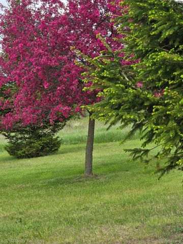 10071 N Hillman Road, Belvidere Township, MI 48850