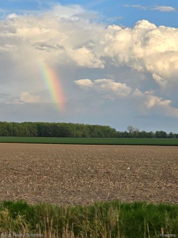 10071 N Hillman Road, Belvidere Township, MI 48850