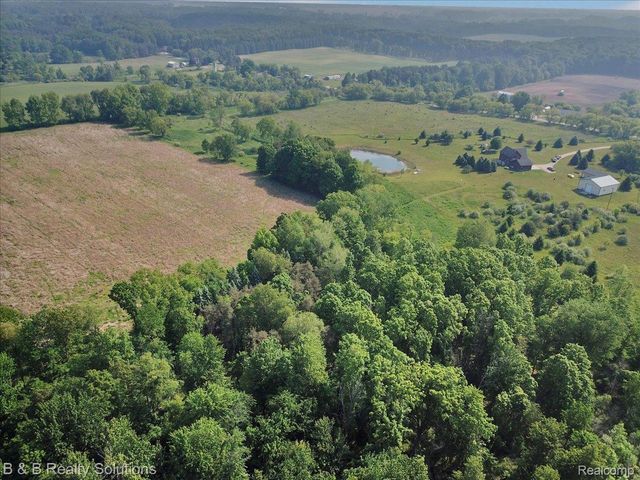 10071 N Hillman Road, Belvidere Township, MI 48850