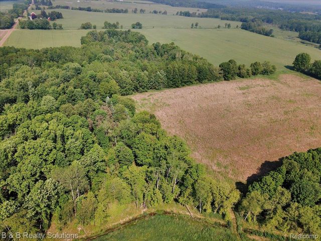 10071 N Hillman Road, Belvidere Township, MI 48850