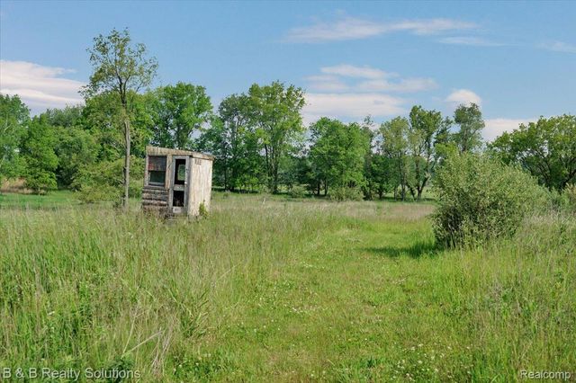 10071 N Hillman Road, Belvidere Township, MI 48850