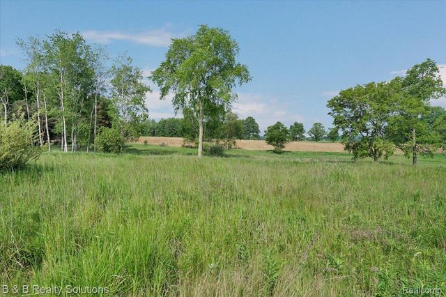 10071 N Hillman Road, Belvidere Township, MI 48850