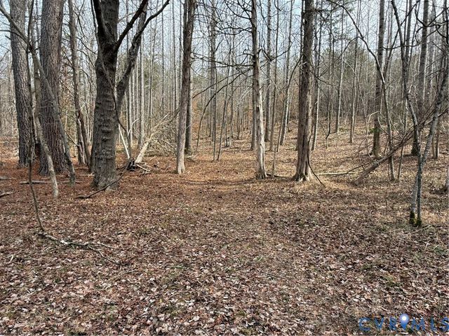 575 Perkins Rd, Kents Store, VA 23084