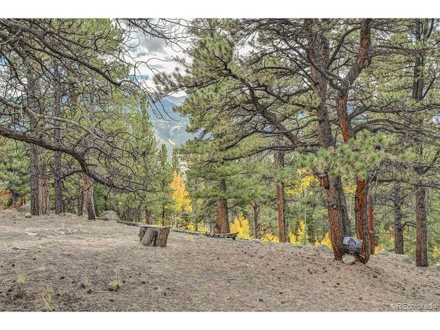 341 County Road 26, Twin Lakes, CO 81251
