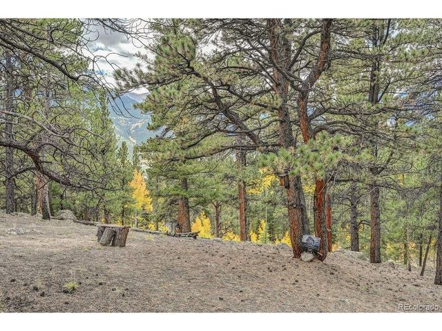 341 County Road 26, Twin Lakes, CO 81251