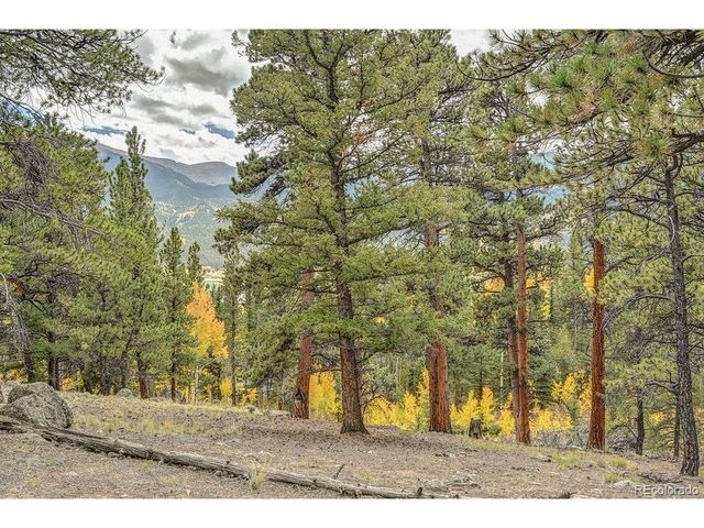 341 County Road 26, Twin Lakes, CO 81251