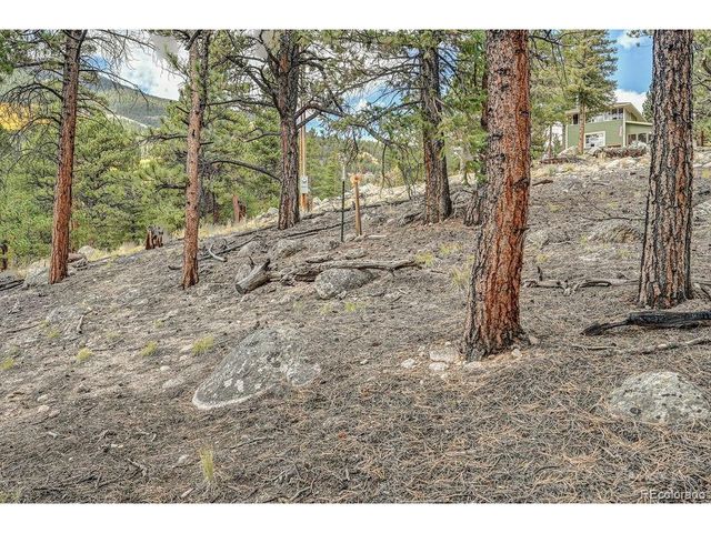 341 County Road 26, Twin Lakes, CO 81251